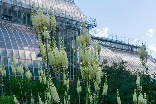 A biotech building with a futuristic design, surrounded by lush greenery. Overlaid on the building is a holographic representation of a patent shield, symbolizing strong protection of intellectual property.