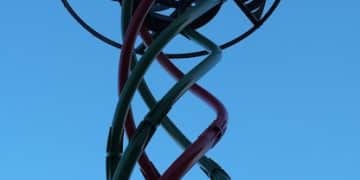 Invest in the Future: Personalized Medicine and Biotech Opportunities - Cover Image