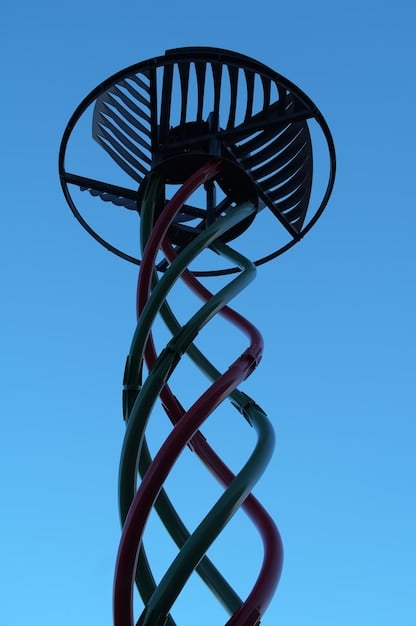 Invest in the Future: Personalized Medicine and Biotech Opportunities