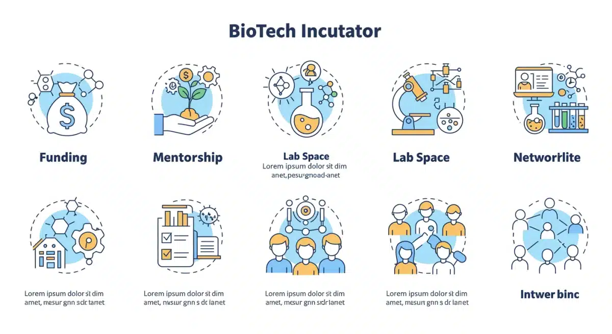 Infographic detailing essential support services provided by biotech incubators to accelerate startup development.